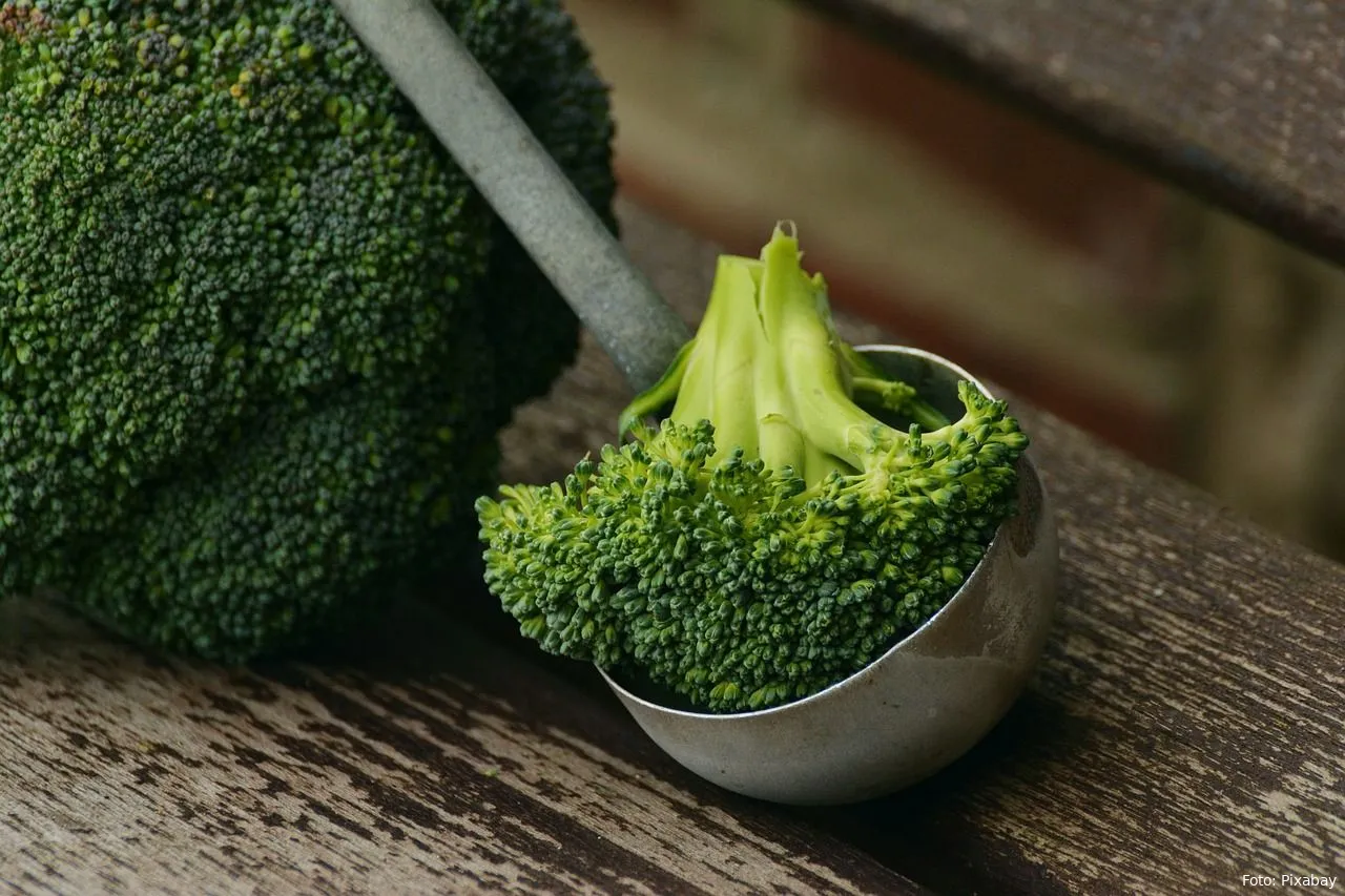 broccoli groenten eten gezondheid