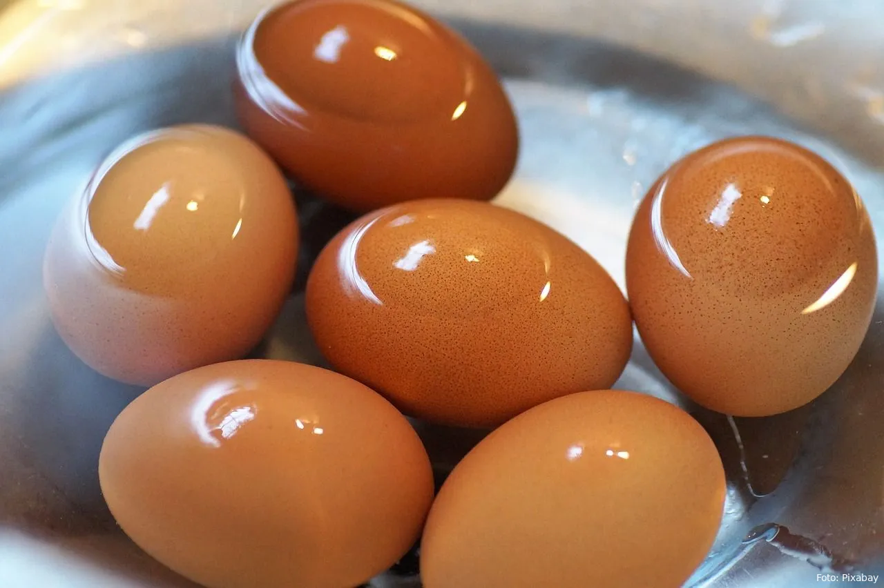 gekookte eieren eieren eten