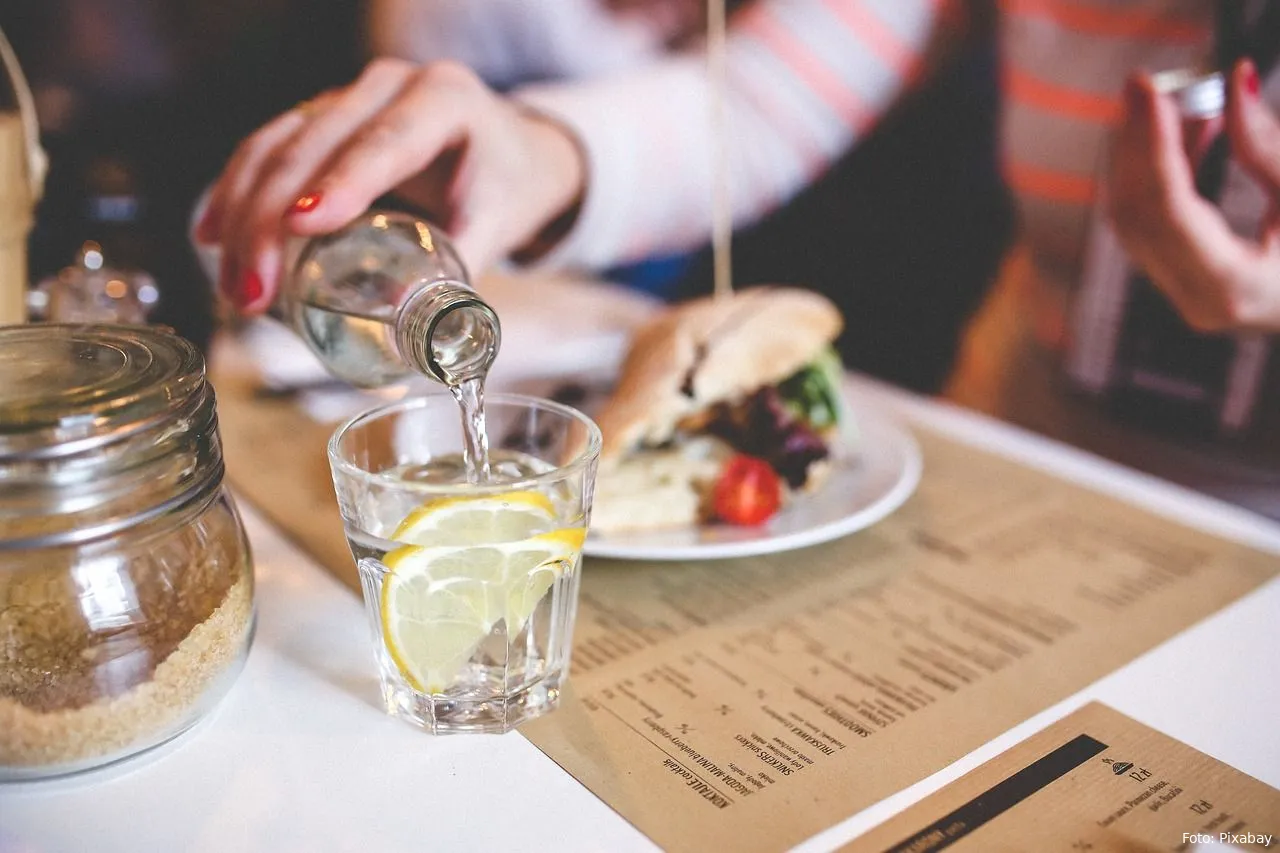 water eten en drinken citroen maaltijd gerecht