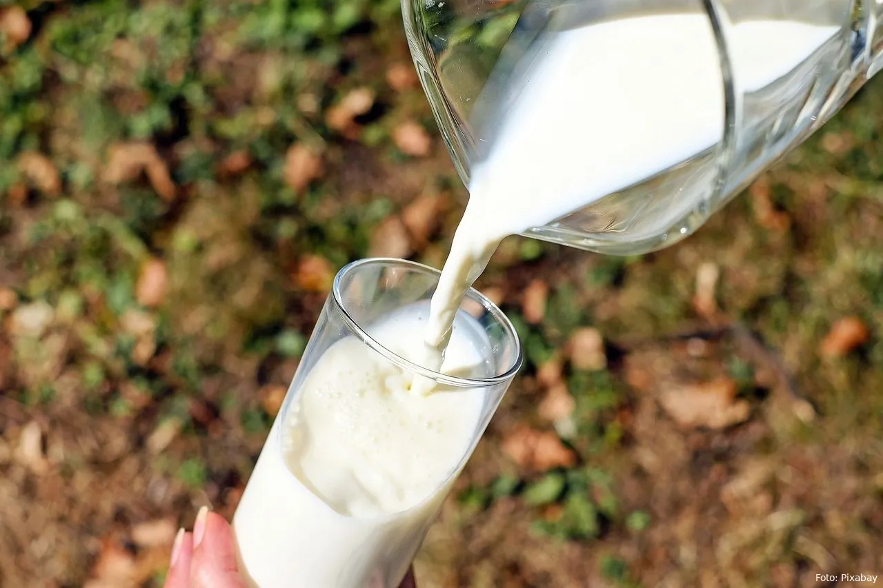 melk eten gezondheid