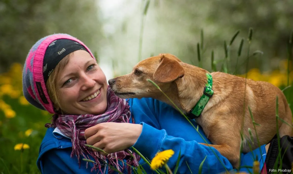 hond mens snuffelen huisdieren