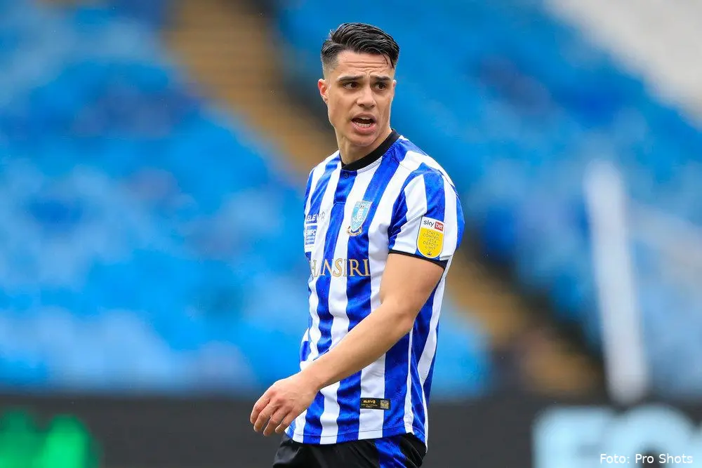 joey pelupessy sheffield wednesday