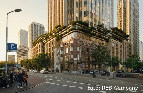 PHC_Bellevue_Urban+Garden_yklc