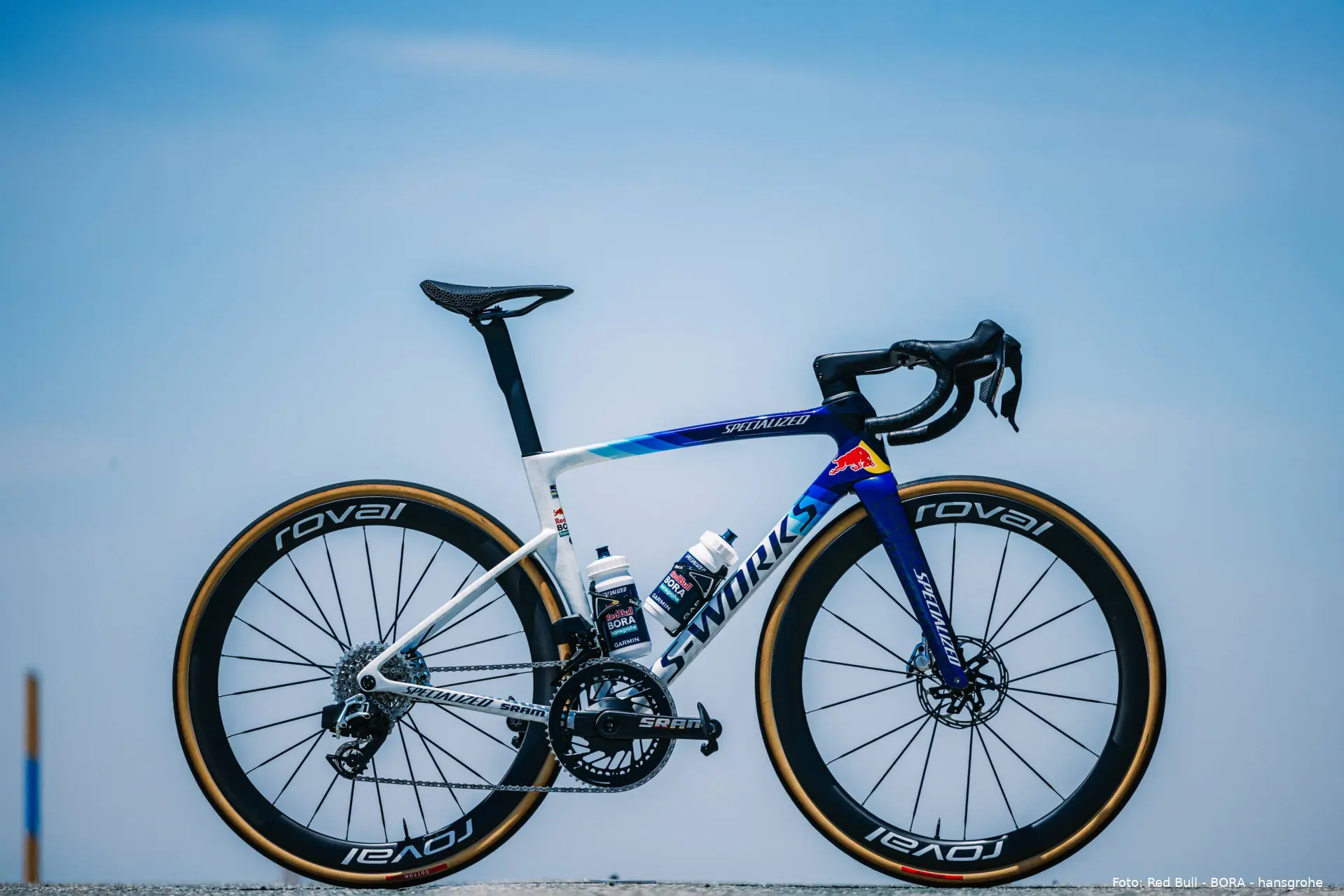 specialized