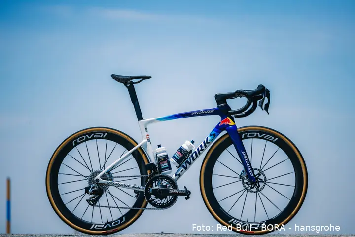specialized