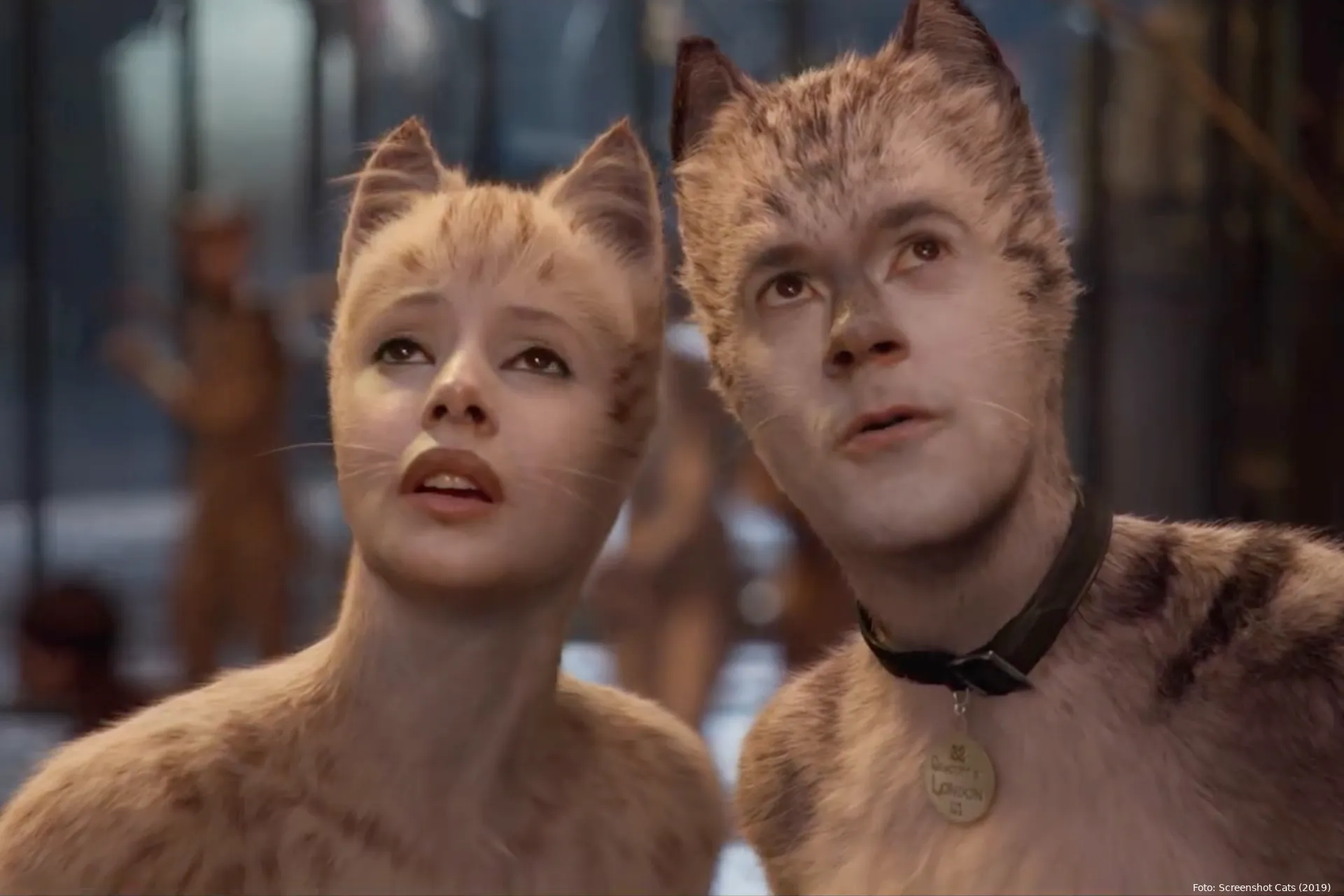 cats screenshot