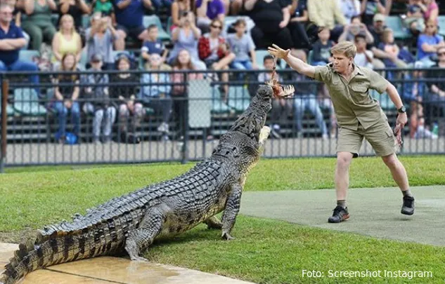 fhm zoon steve irwin