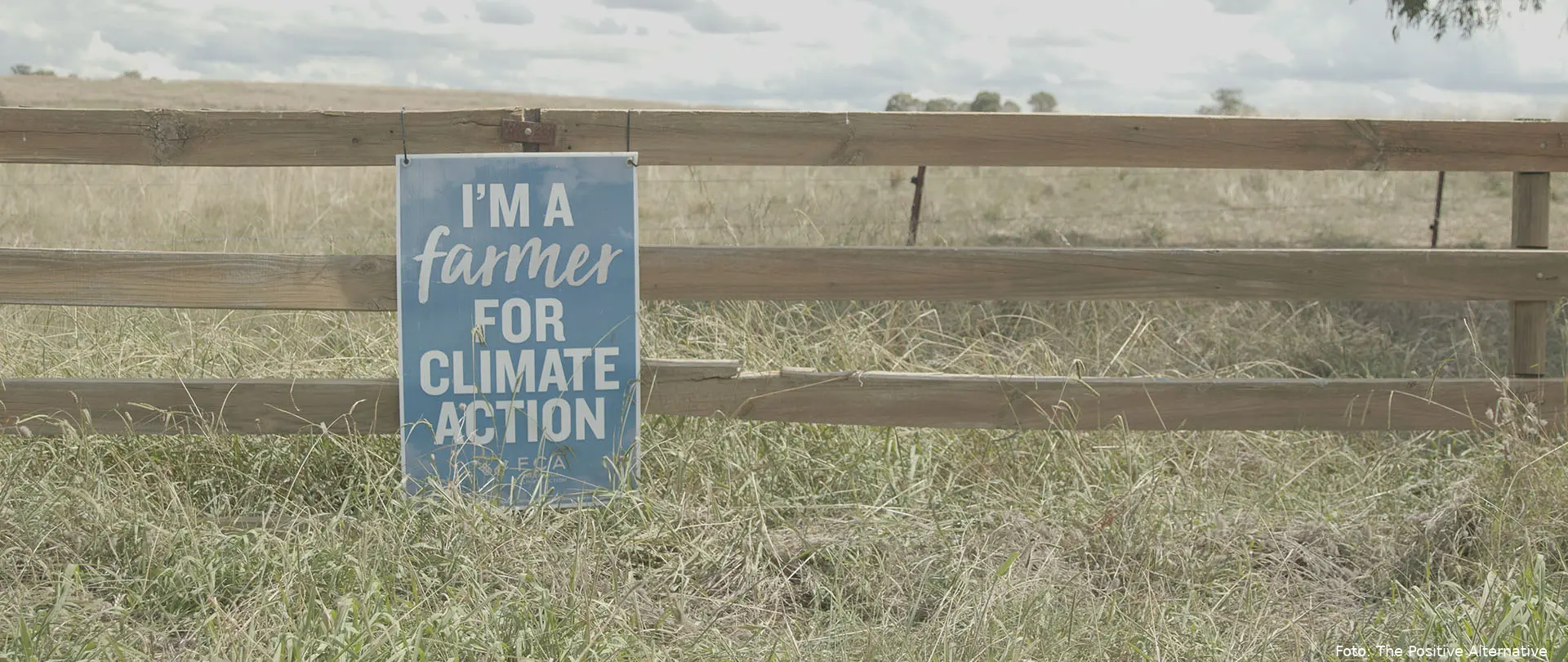 the positive alternative 4