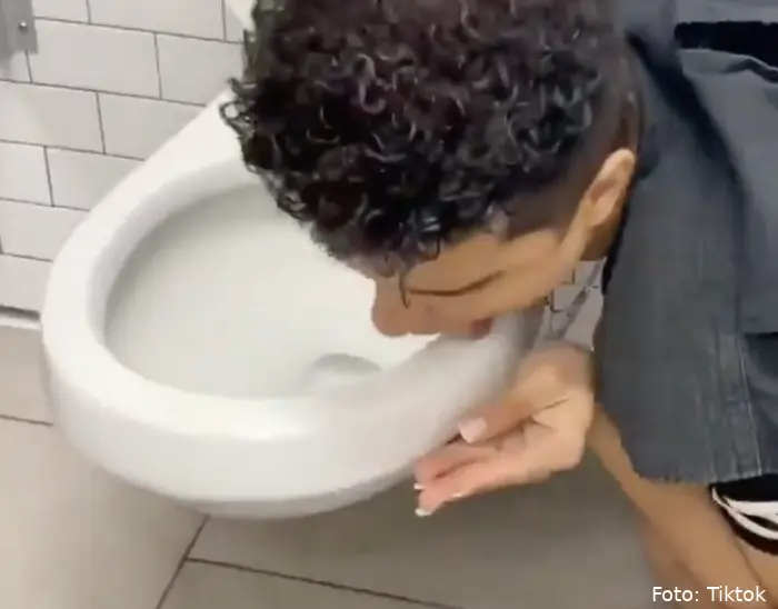 2020 toiletbrillikken