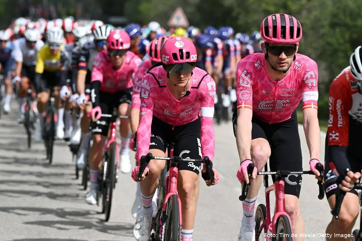 kasper asgreen ef education