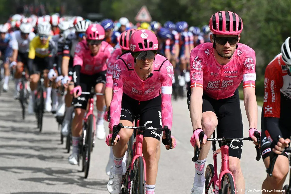 kasper asgreen ef education