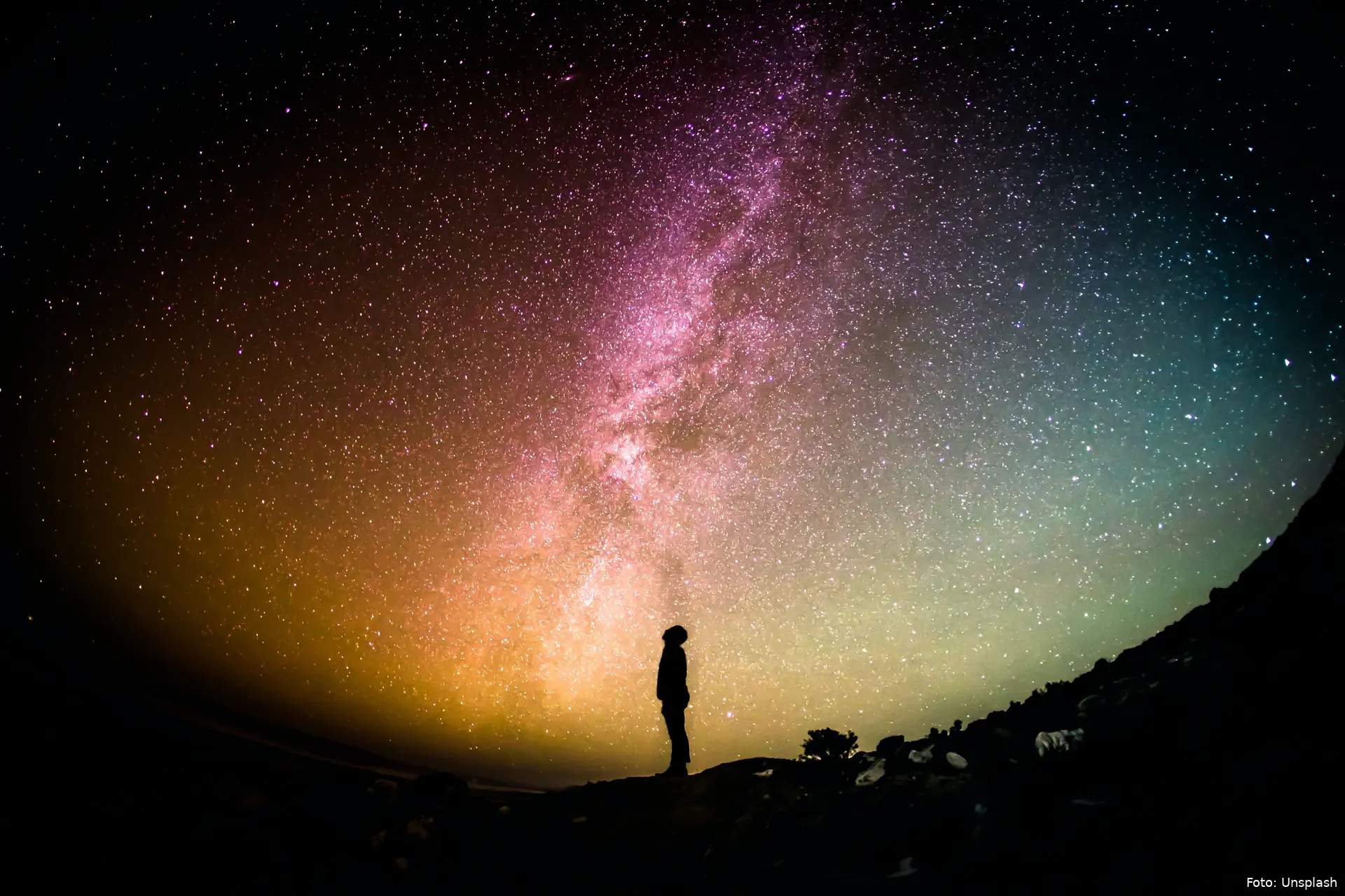 greg rakozy ompaz dn 9i unsplash