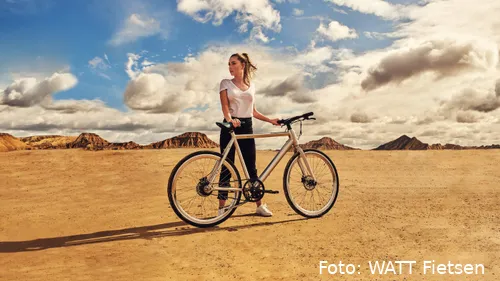 beerquay watt ss20 w01