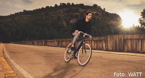 watt valenciass19 landscape 185 max brug