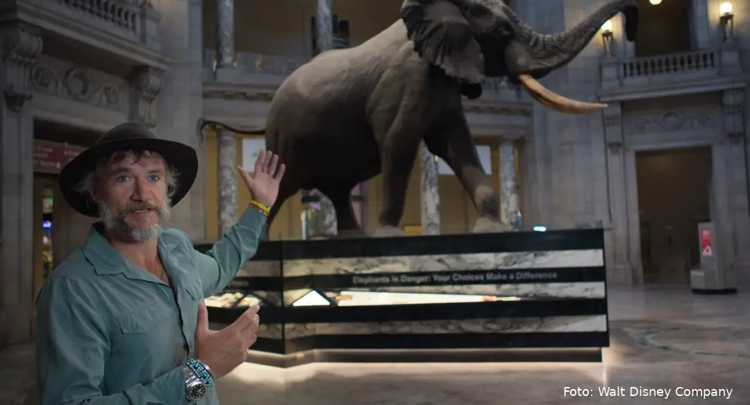 GhostElephants_UHD_04_full