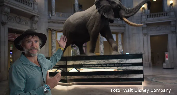 GhostElephants_UHD_04_full