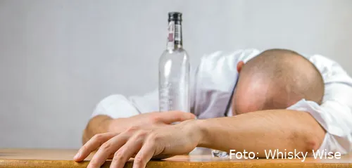 beste manieren om kater te voorkomen 1