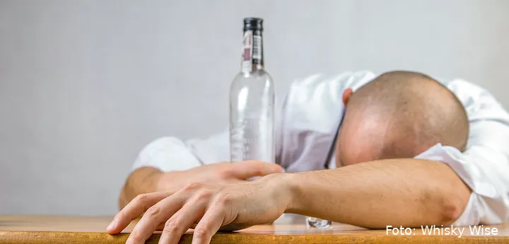 beste manieren om kater te voorkomen 1