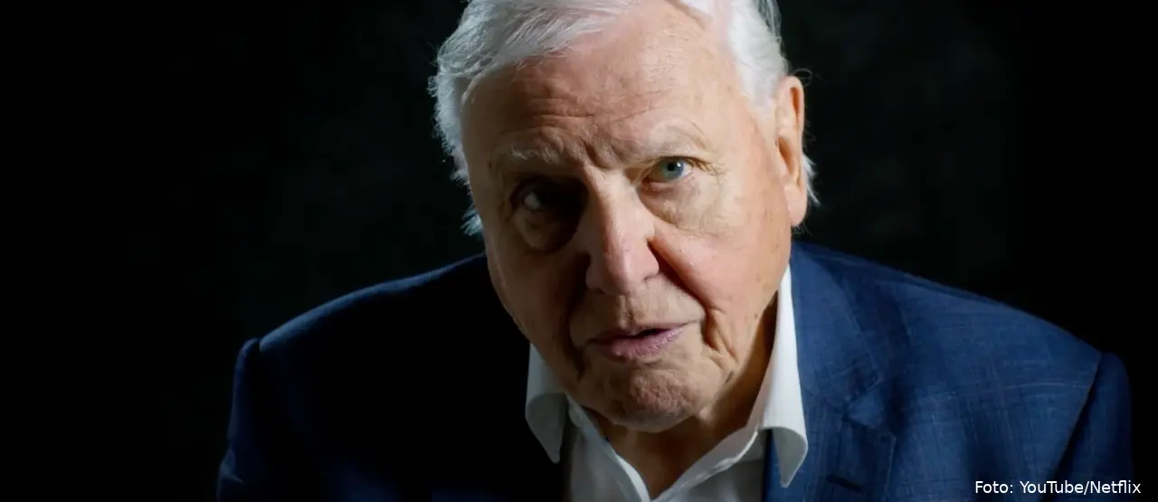 david attenborough