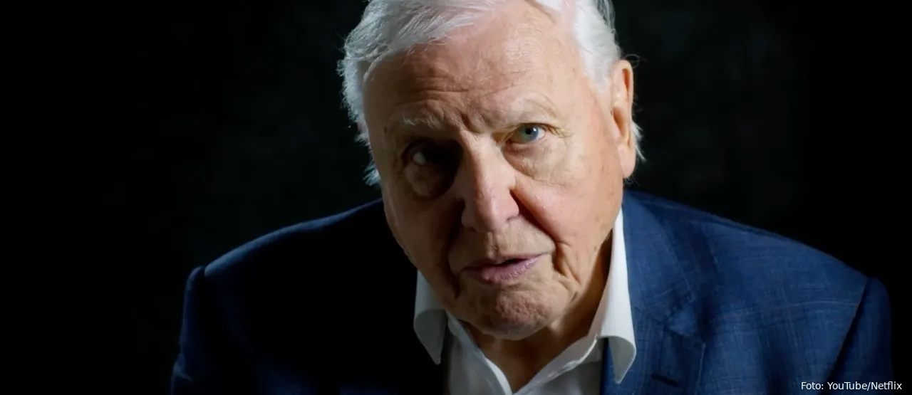 david attenborough