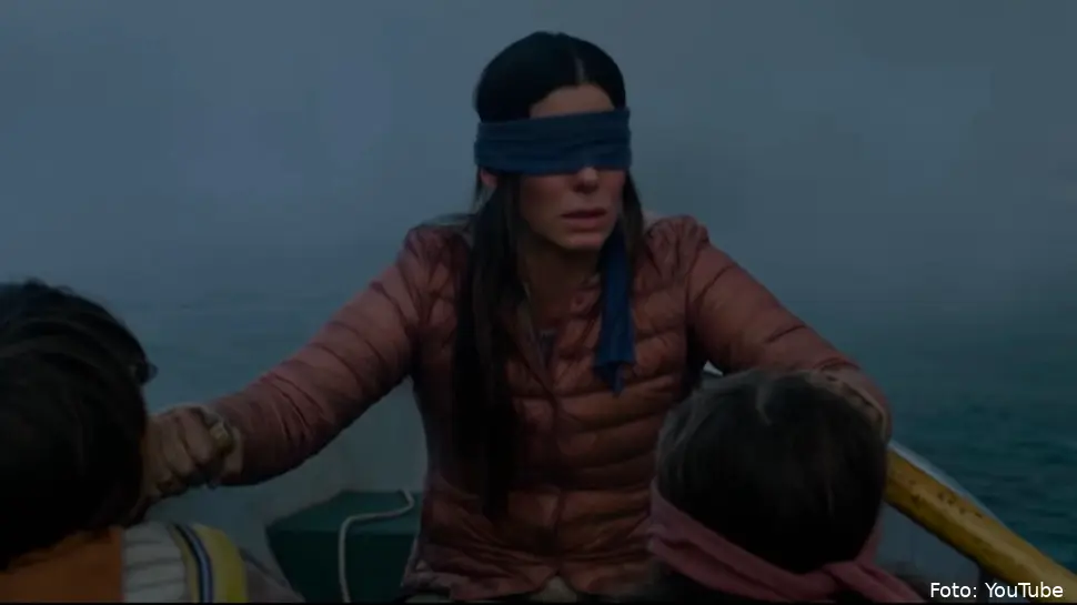 bird box