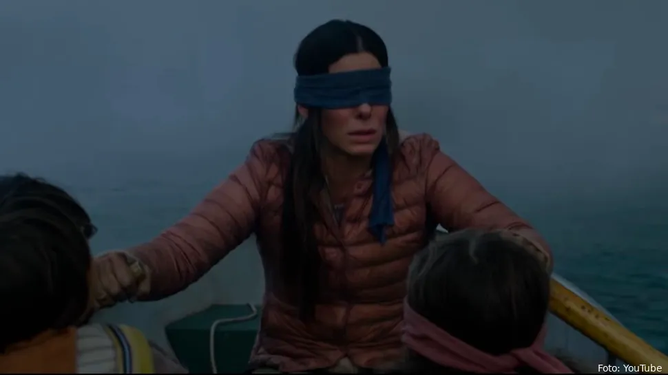 bird box