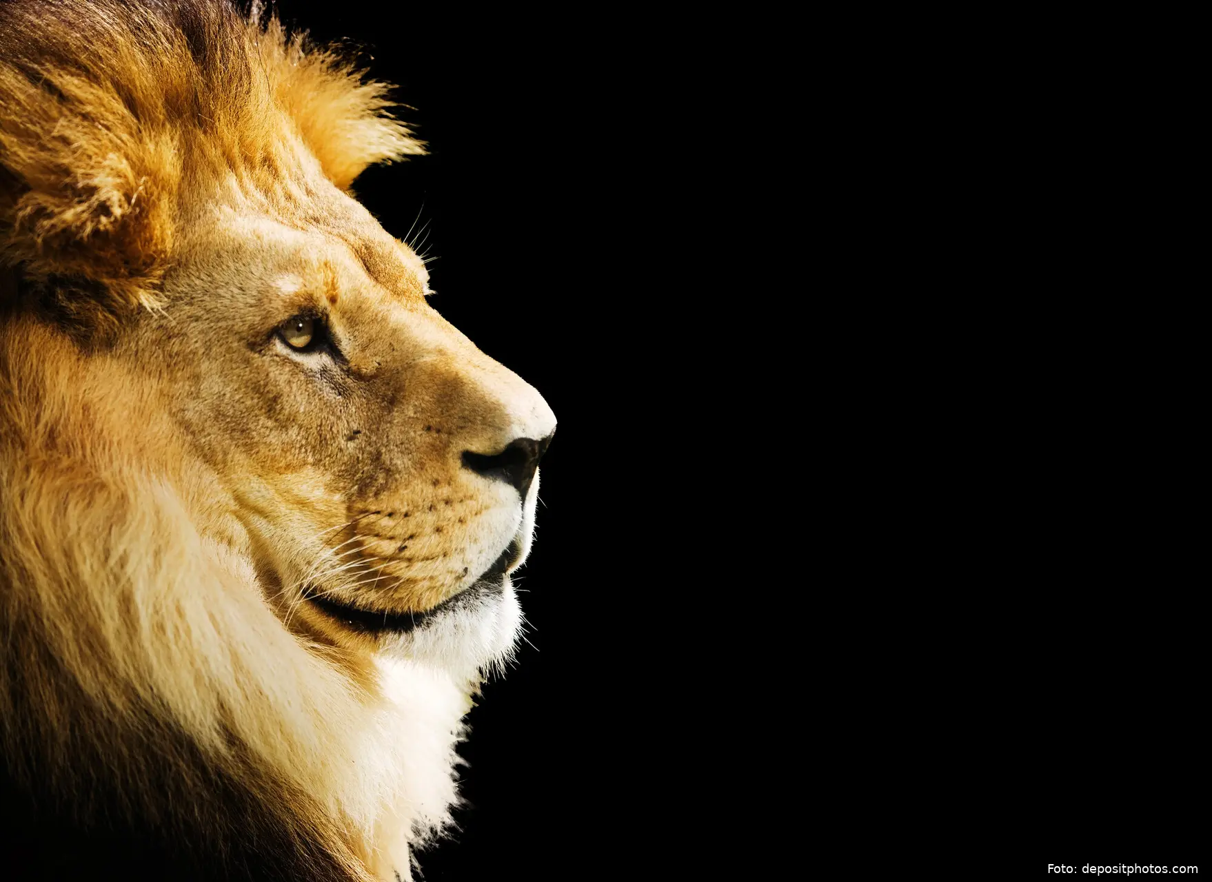 depositphotos 1888701 l 1