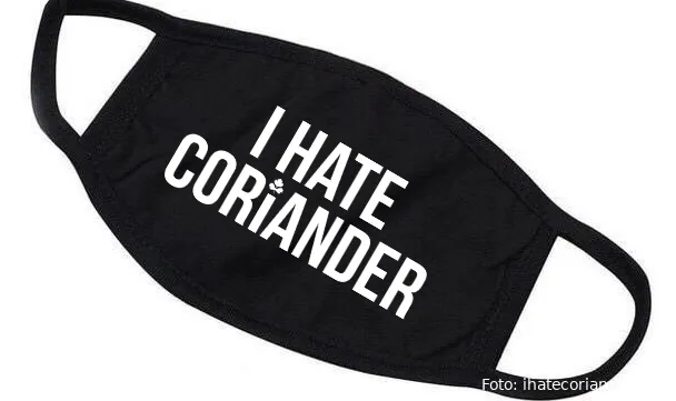 i hate coriander banner 1