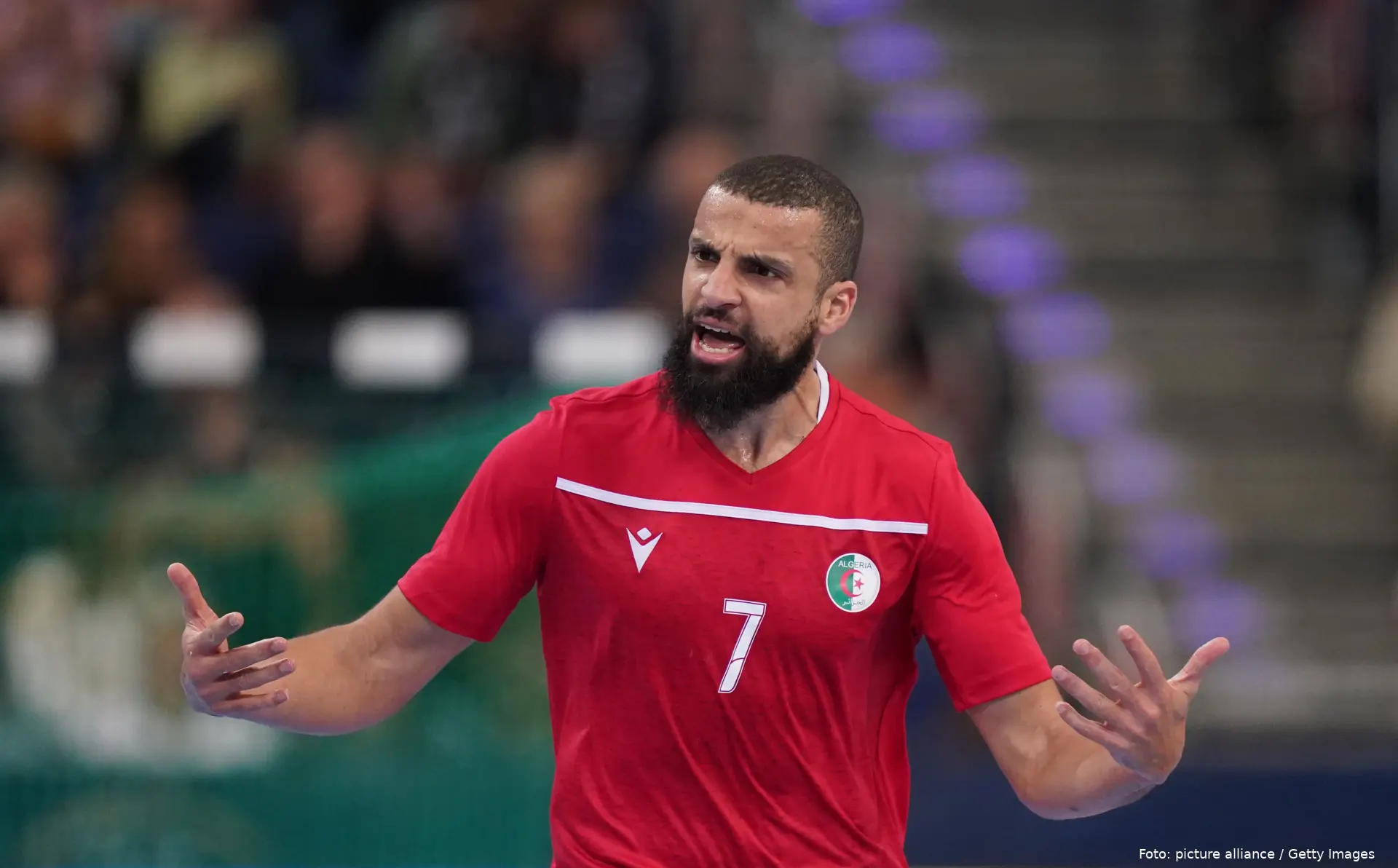 hichem daoud