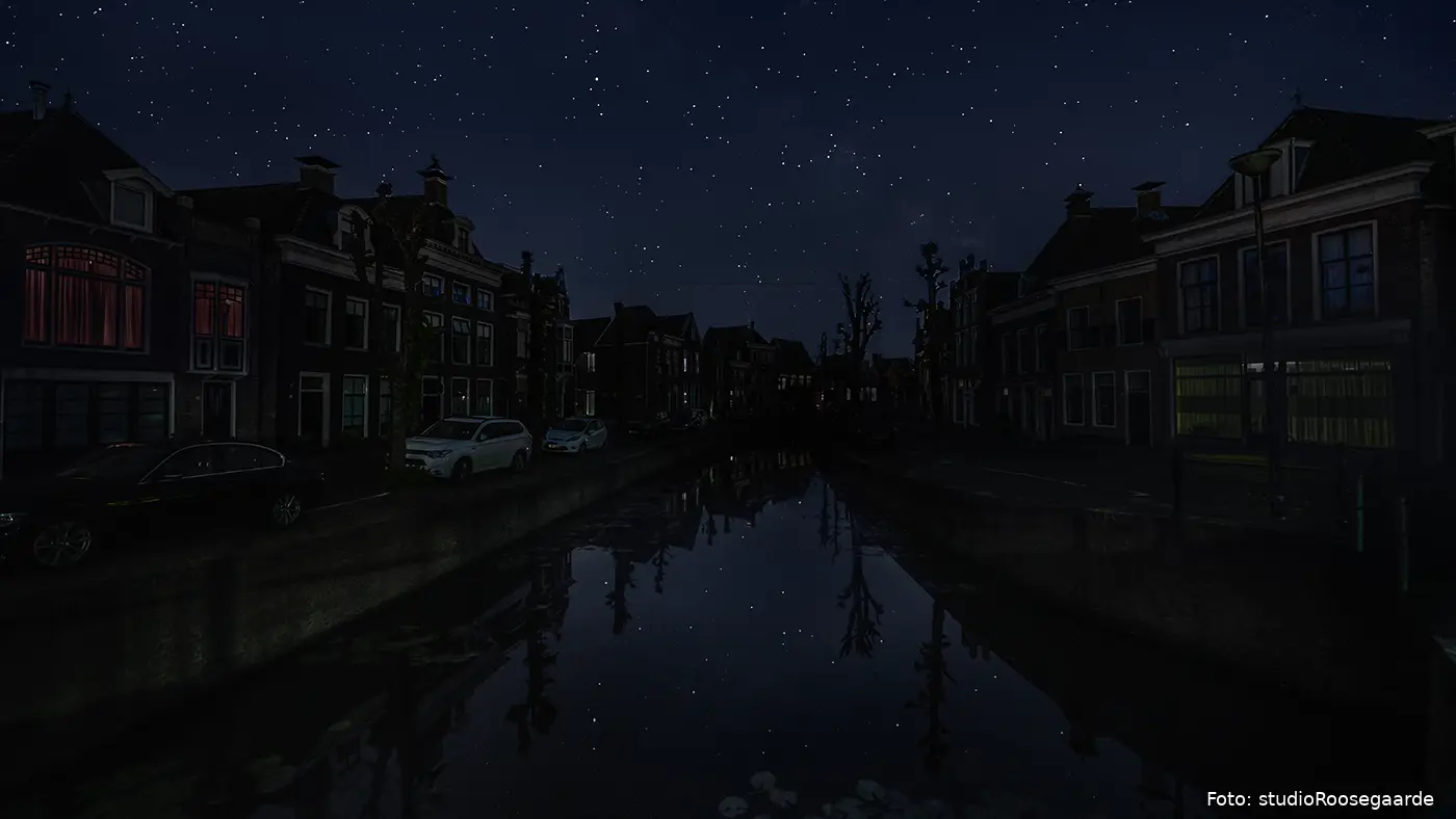 14seeingstarsroosegaardeweb