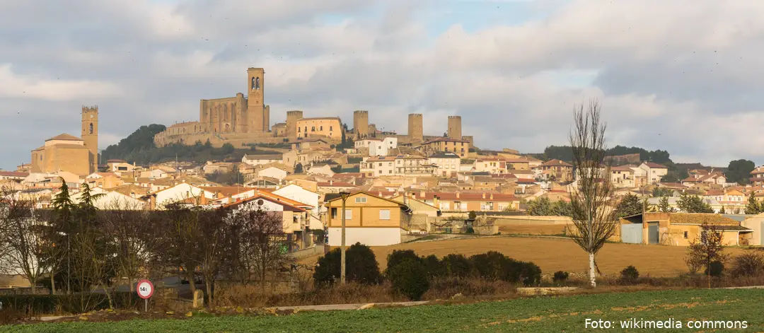 Vista_de_Artajona,_Navarra,_España,_2015-01-06,_DD_01