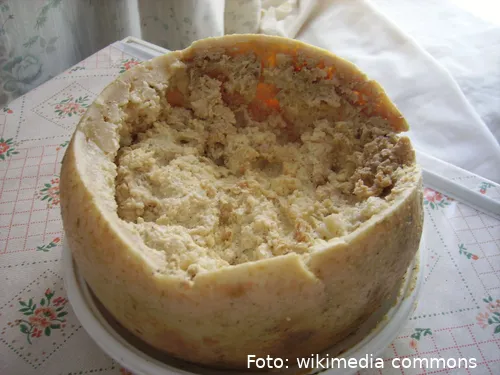casu marzu cheese