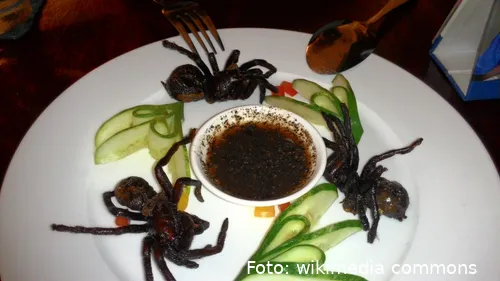 fried tarantula in cambodian restaurant