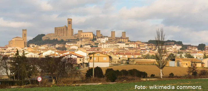 Vista_de_Artajona,_Navarra,_España,_2015-01-06,_DD_01