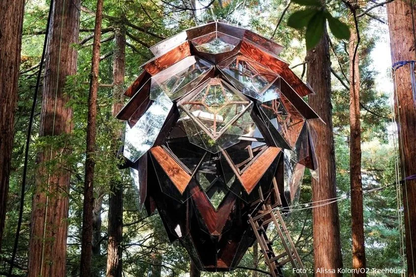 pinecone treehouse in california has see through floor 6