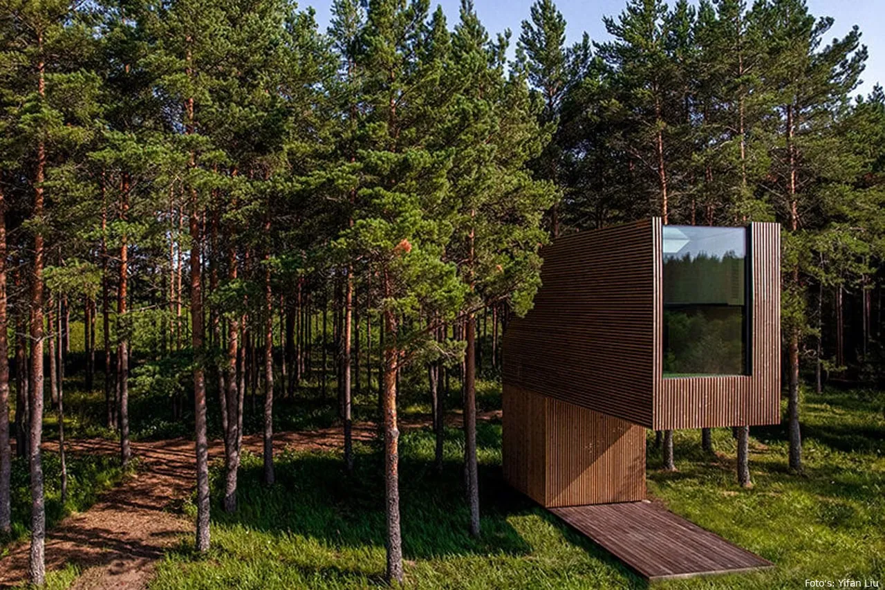 https hypebeastcom image 2023 10 piil treehouse retreat arsenit estonia images 16