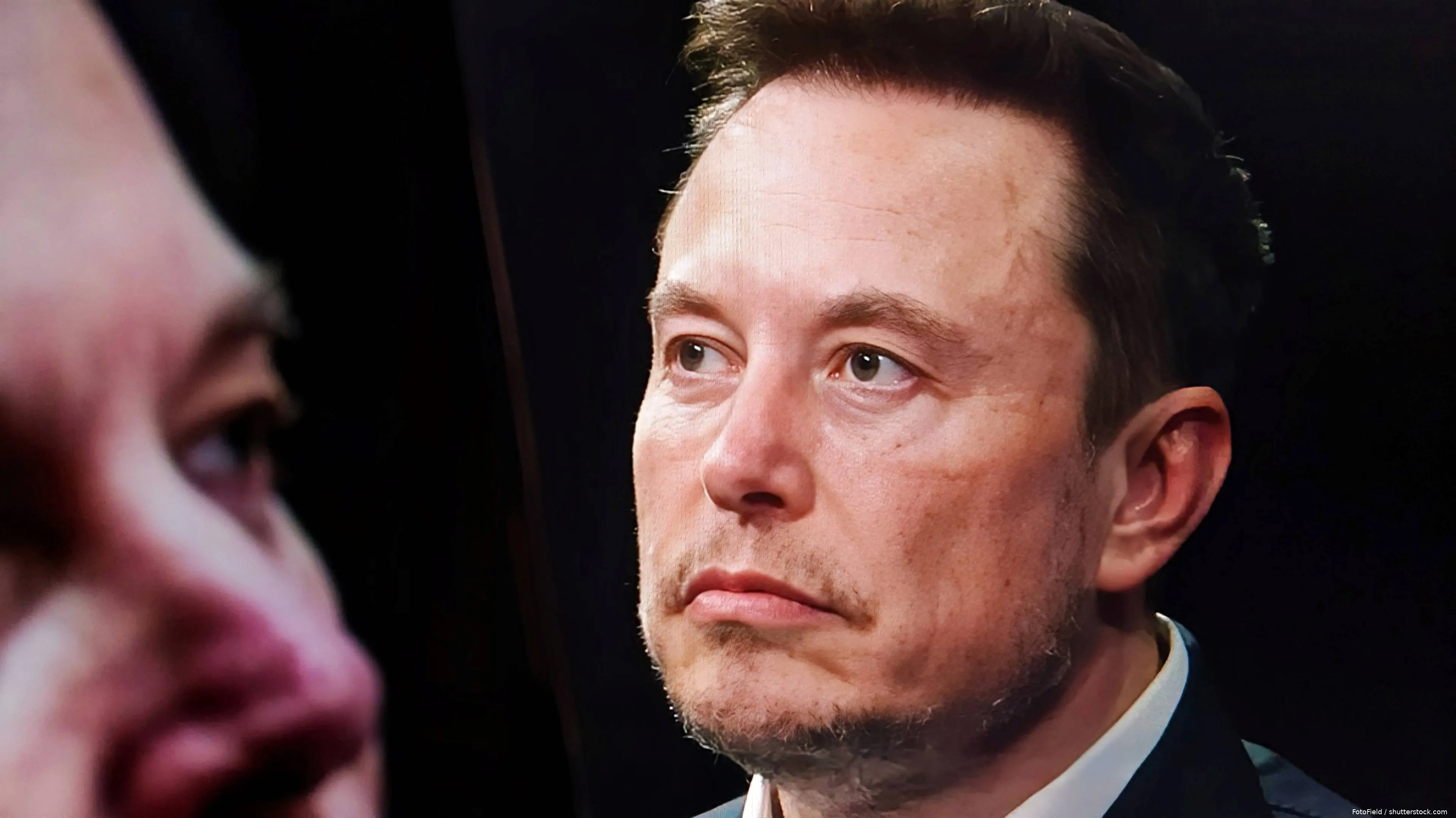 shutterstock_2682935385