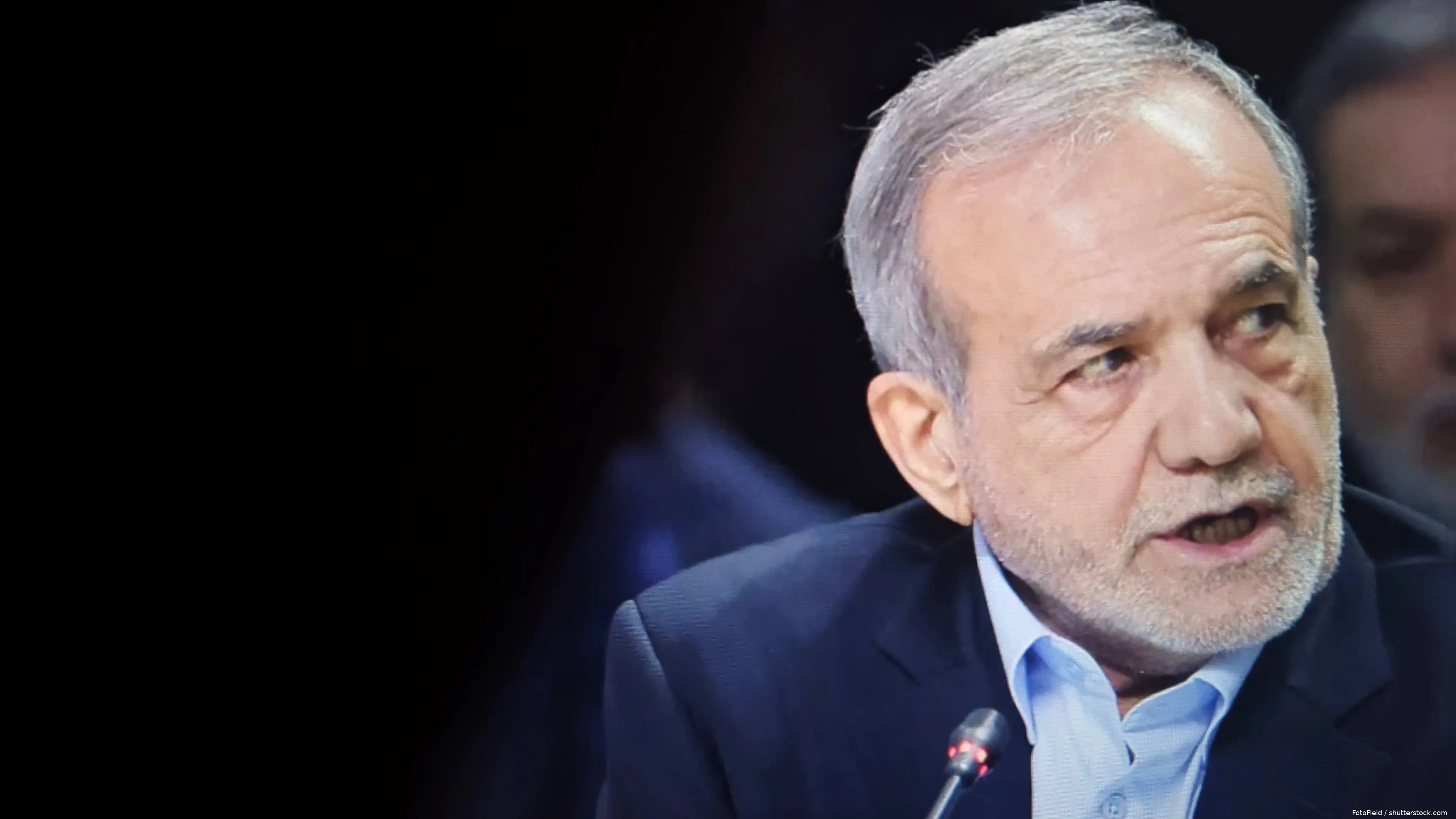 shutterstock_2687198931