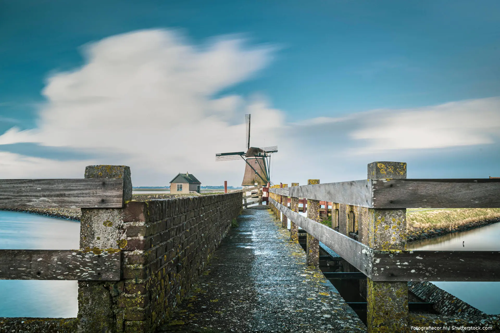 shutterstock_2483603197