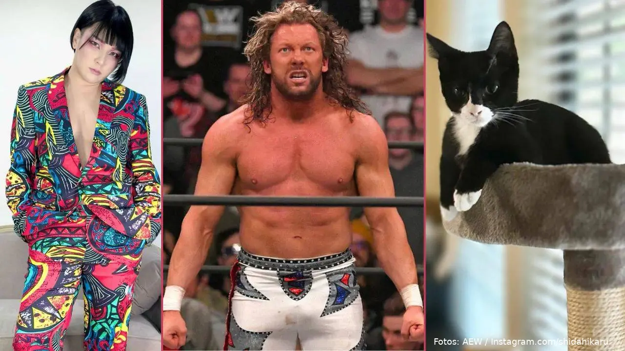 kenny omega hikaru katze