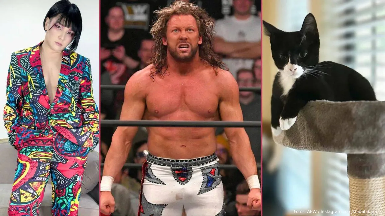 kenny omega hikaru katze
