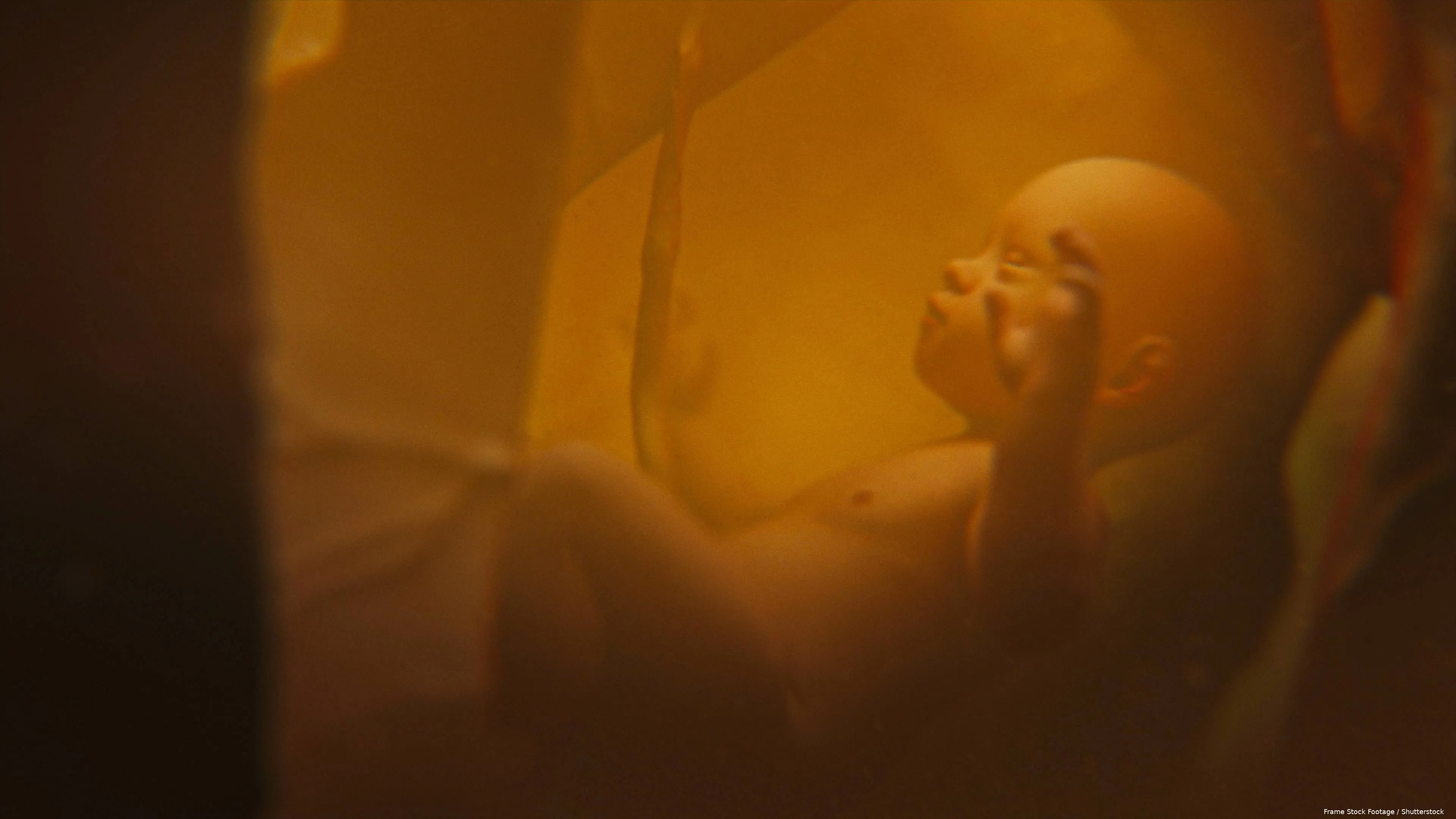 shutterstock_2506339095