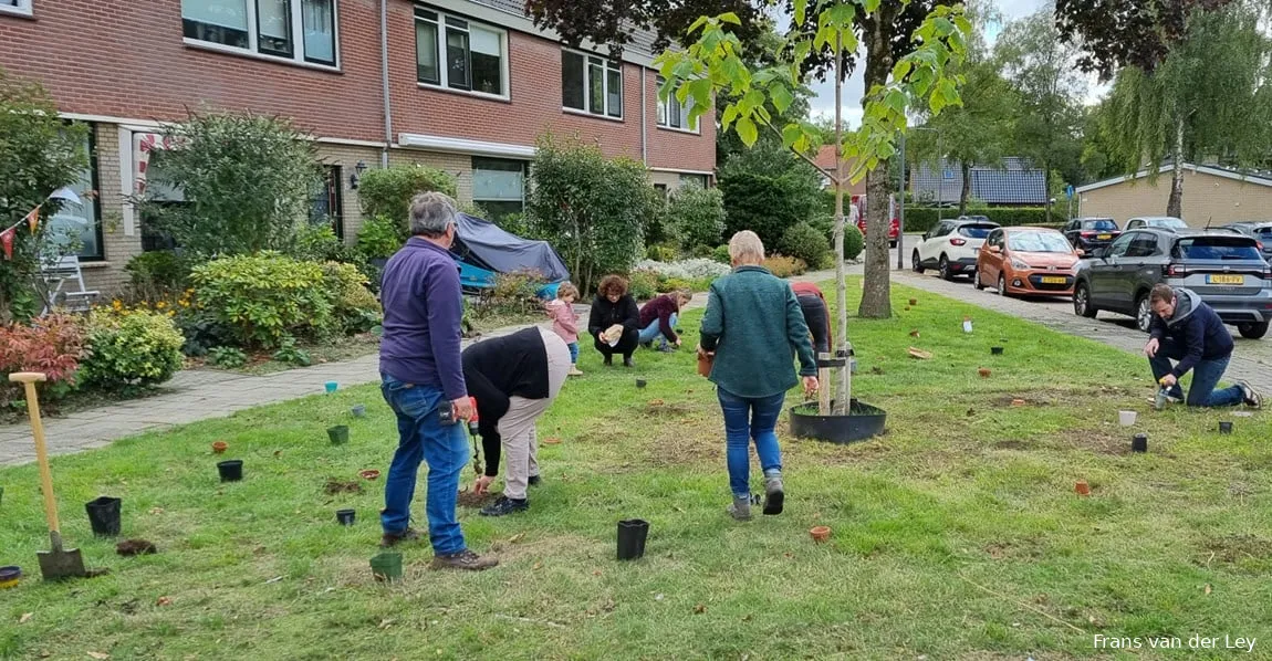 burendag treubstraat 1