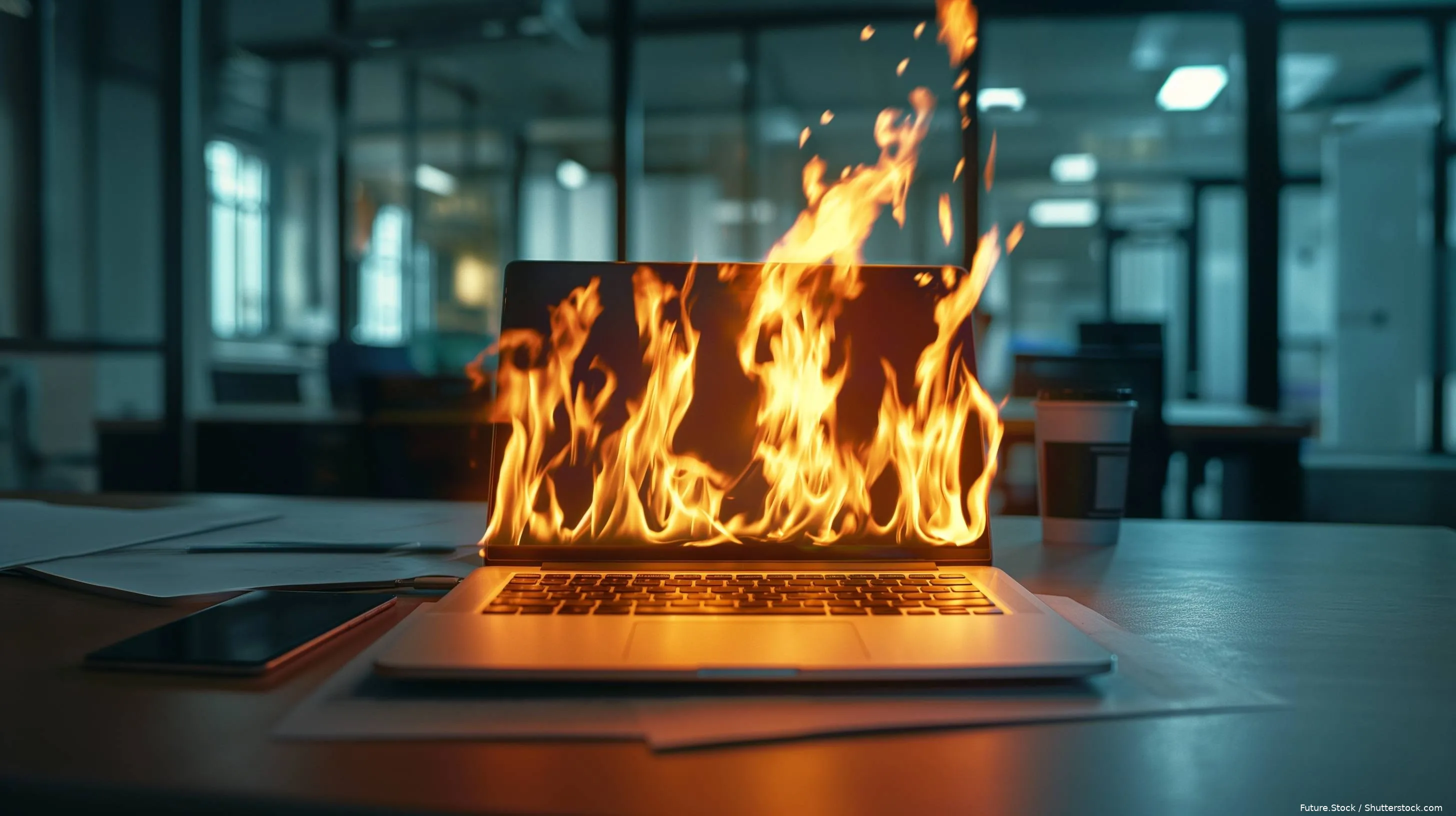 shutterstock_2478803031