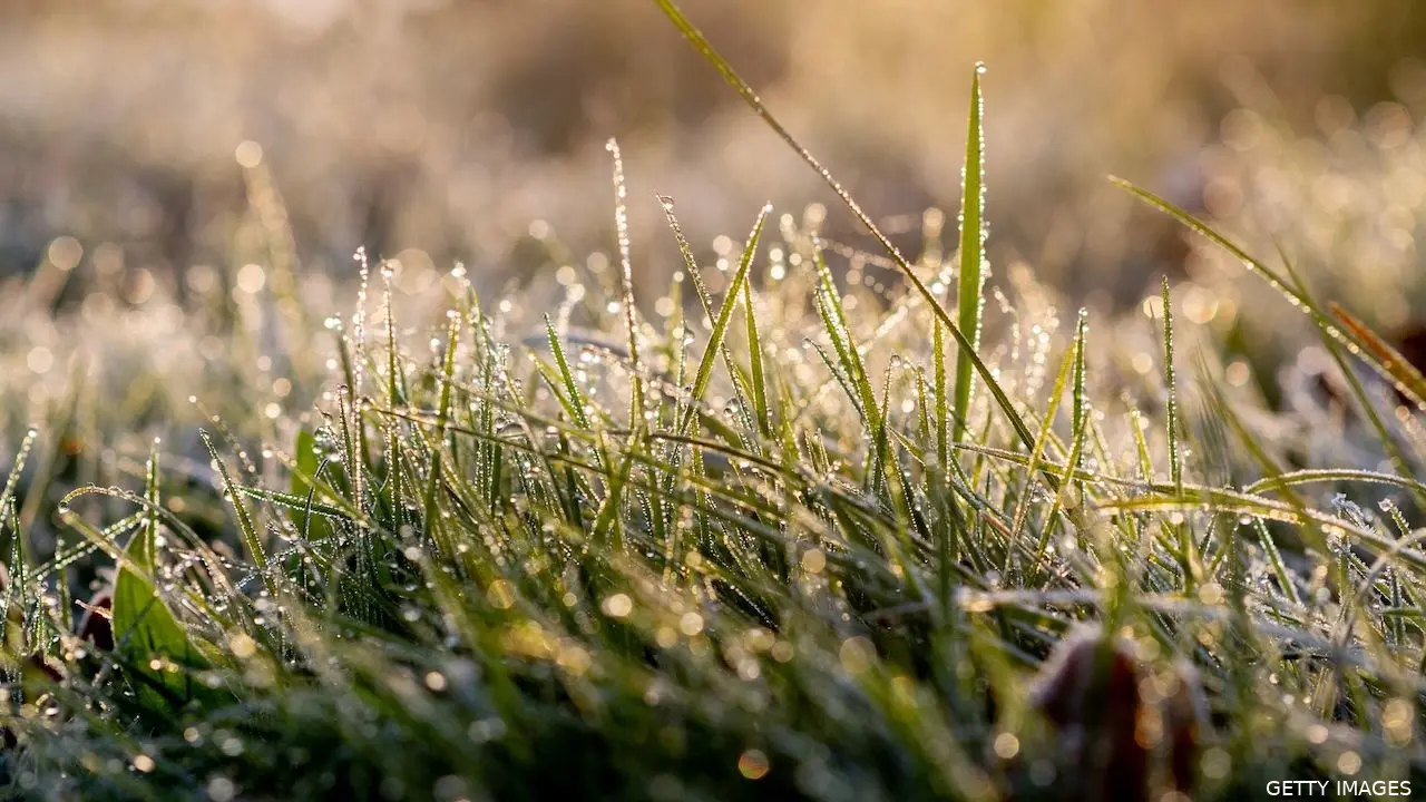 koud weer november