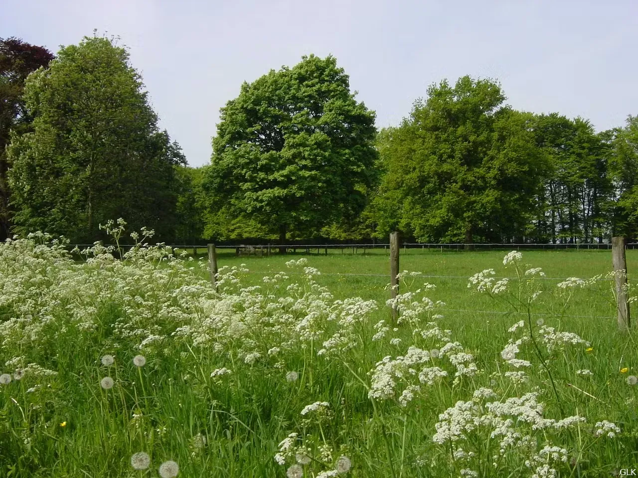 fietstocht maas en waal hernen foto glk