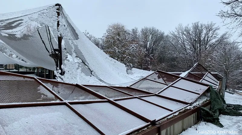 gaiazoo schade aan voliere door sneeuwval 2