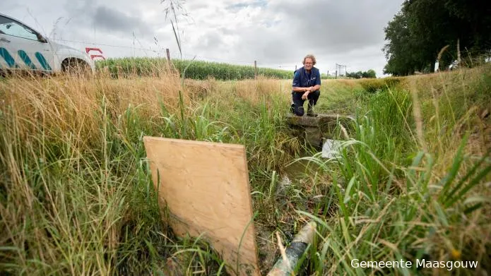 droogte waterschap 1