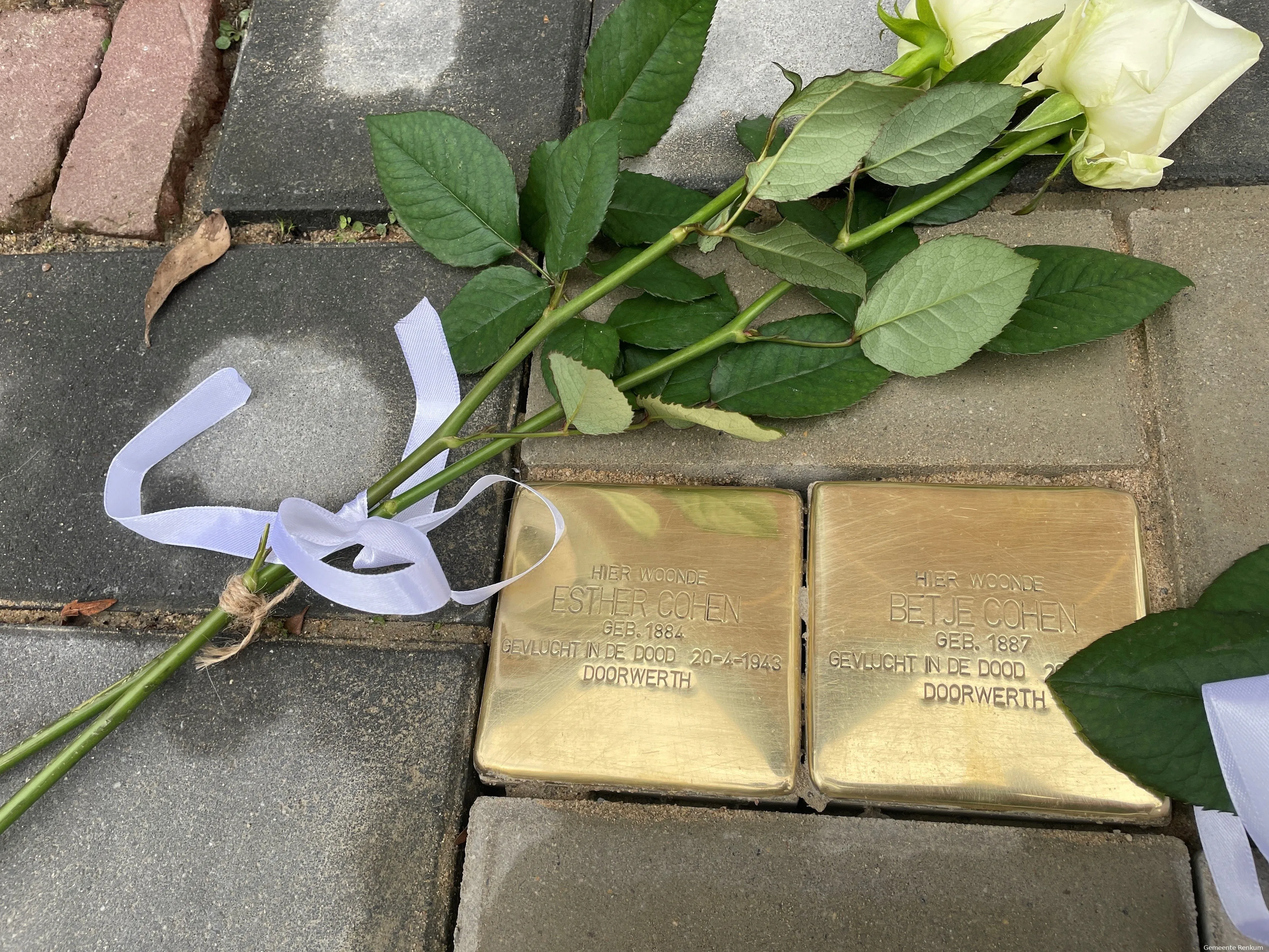 62 stolpersteinen