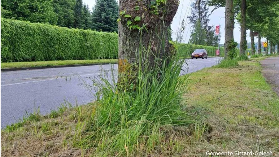 anders maaien rondom bomen